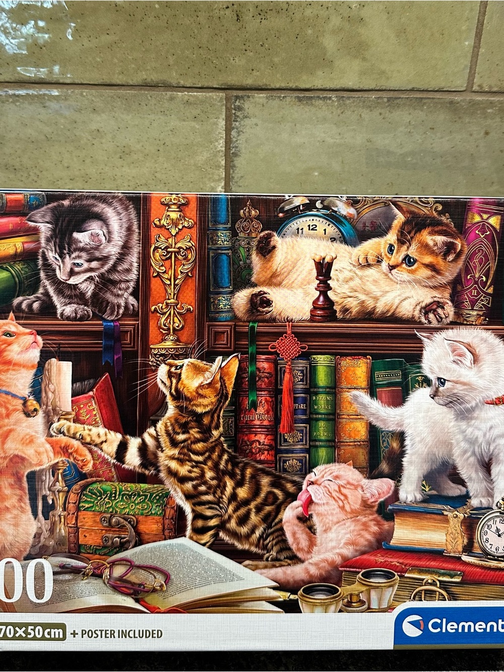 Kittens on Books 1000-Piece Jigsaw Puzzle - Multicolor